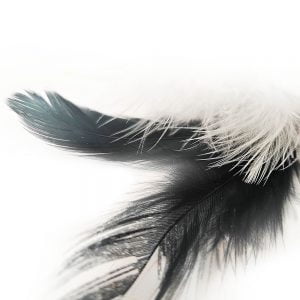Höyhenlajitelma 3-10cm, 10g Musta/valkoinen