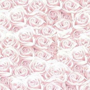 Designkartonki A4, 2277 Ruusut vaaleanpunainen
