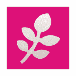 Kuviolävistin, Lehti M