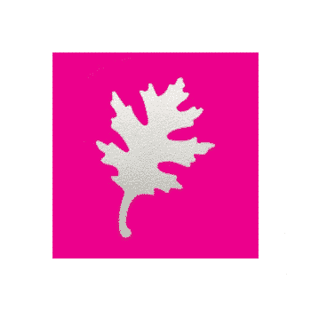 Kuviolävistin, Tammen lehti M