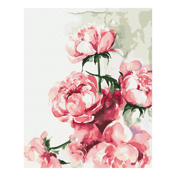Brushme Painting By Numbers 40x50cm Watercolor Peonies Askartelukulma