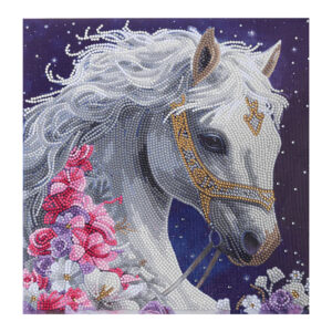 Craft Buddy Timanttimaalaustaulu 30x30cm, Mystic Beauty, Partial Crystal