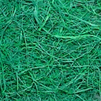 Kapel Sisalkuitu, Vihreä