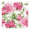 Servetti 33x33cm, Pionit 20 kpl