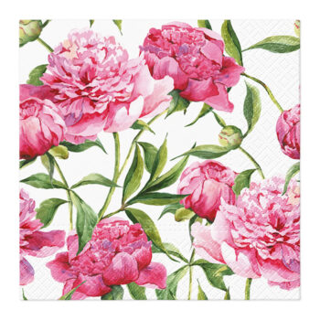 Servetti 33x33cm, Pionit 20 kpl