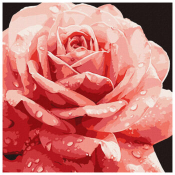 Ideyka Painting by numbers 40x40cm, KHO3236 Perfect rose