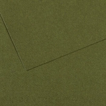 Canson Mi-Teintes kartonki 160g A4, 448 Ivy