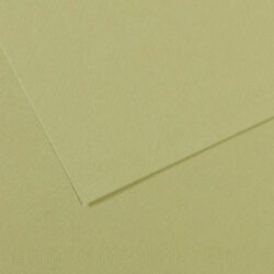 Canson Mi-Teintes kartonki 160g A4, 480 Light green