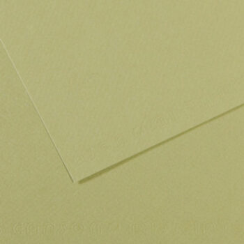 Canson Mi-Teintes kartonki 160g A4, 480 Light green