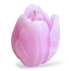 Kynttilämuotti, Nuppu