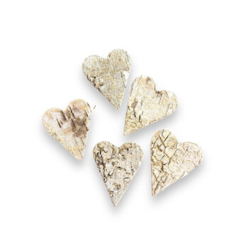 Kaarnasydän 6cm 5kpl