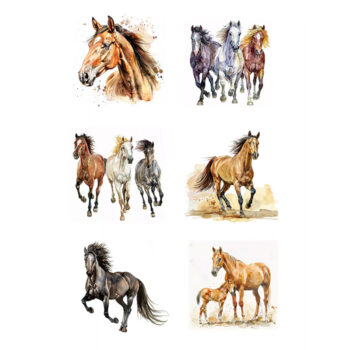 Reprint Kuviokartonki A4, KP0123 Horses