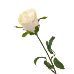 Ruusunoksa 46cm, kerma