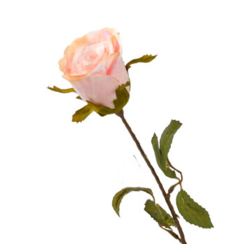 Ruusunoksa 46cm, persikka