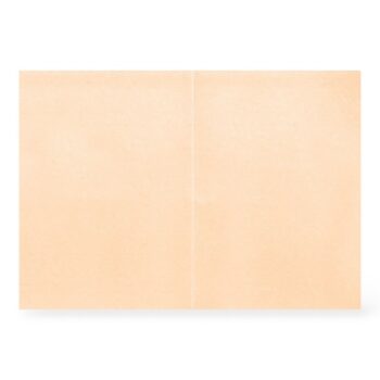 Korttipohja 2-osainen helmiäinen, 7361 Persikka