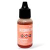 Ranger Alcohol Ink 14ml, Salmon