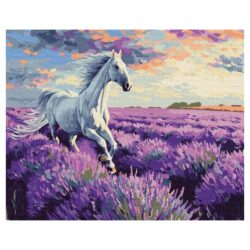 Ideyka Painting by numbers 40x50cm, KHO6659 In the lavender fields