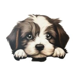 Silityskuva, Koira 1