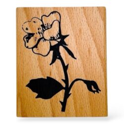 Rico Puuleimasin, Ruusu