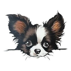 Silityskuva, Koira 3