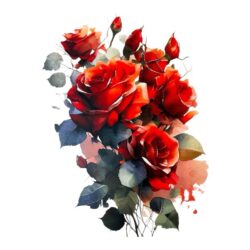 Silityskuva, Punaiset ruusut