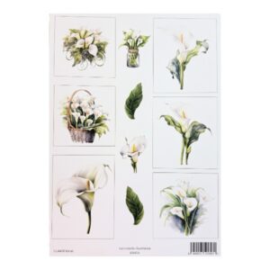 Kuva-arkki A4, CLA428 Kallat