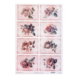 Kuva-arkki A4, CLA401 Ruusut