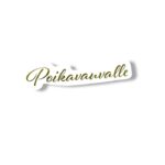 Kartonkiteksti, Poikavauvalle hopea 10kpl