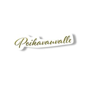 Kartonkiteksti, Poikavauvalle hopea 10kpl