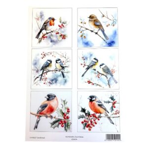 Kuva-arkki A4, CHR912 Talvilinnut