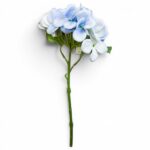 Rayher Tekokukka Hortensia, Bleu Chair 33 cm