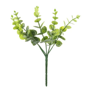Eukalyptus oksa 27cm