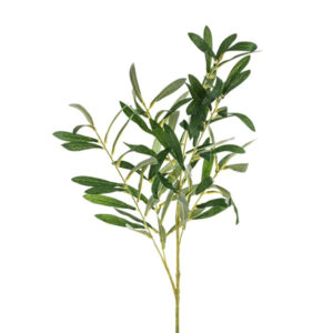 Oliivioksa 91cm