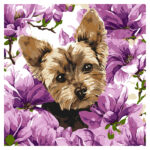 Ideyka Painting by numbers 40x40cm, KHO6796 York in magnolia